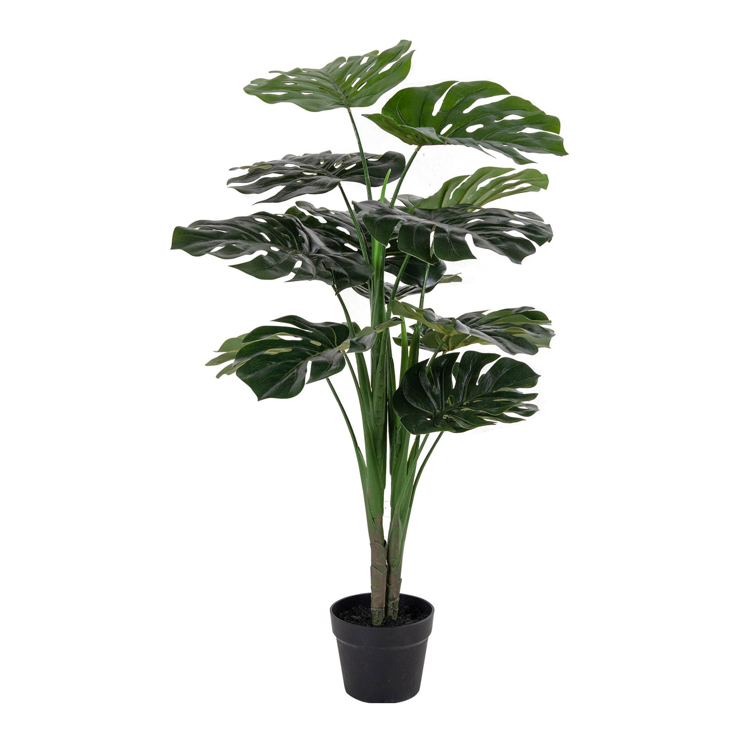 Monstera Grün, 90cm