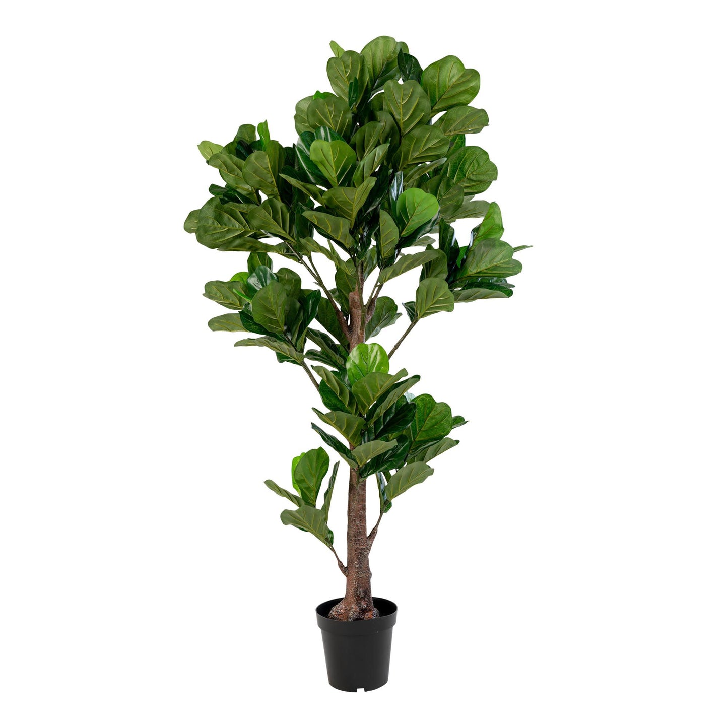 Fiddle Leaf Tree Grün, 190cm