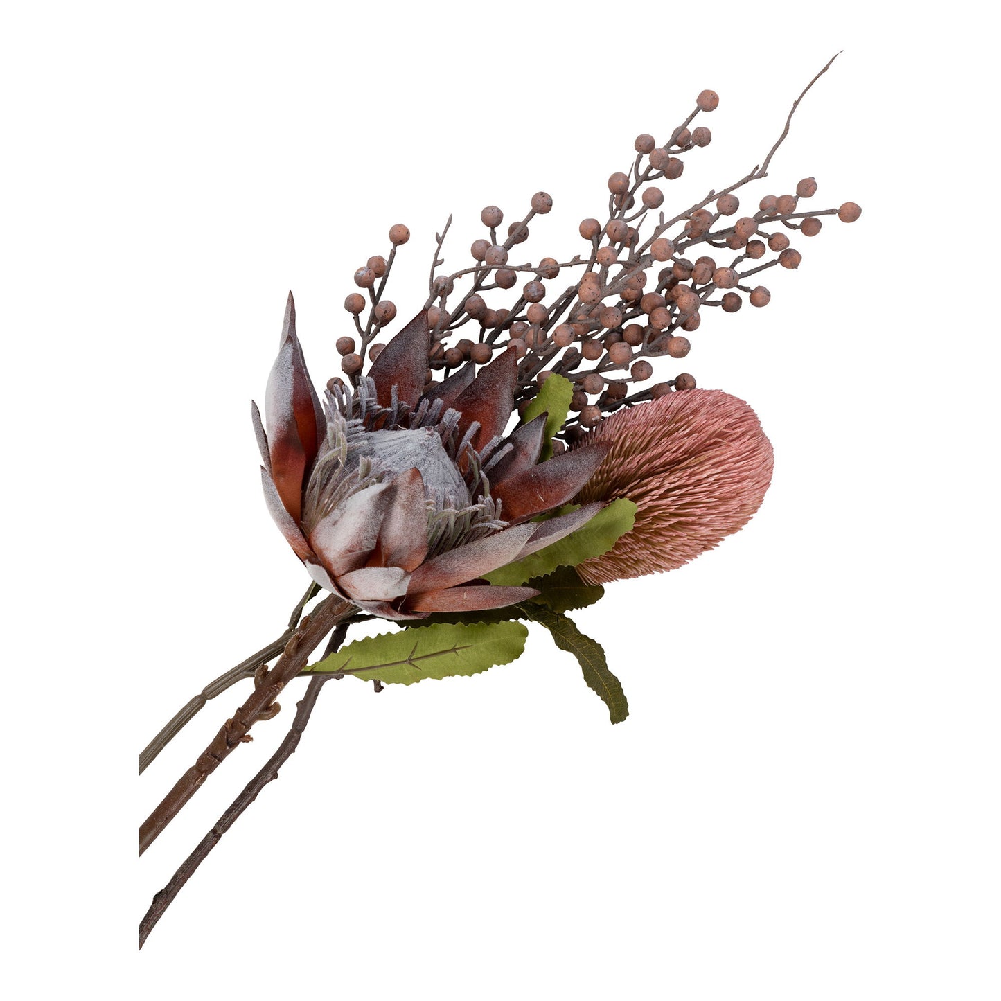 König Protea Bouquet Rosenmischung