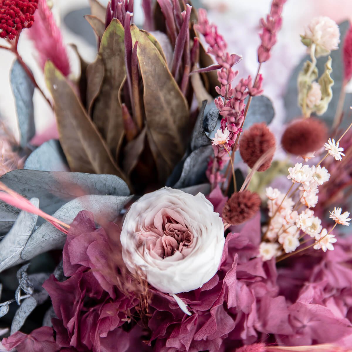 Berry Love: Blumenstrauss Trockenblumen in beerigen Tönen