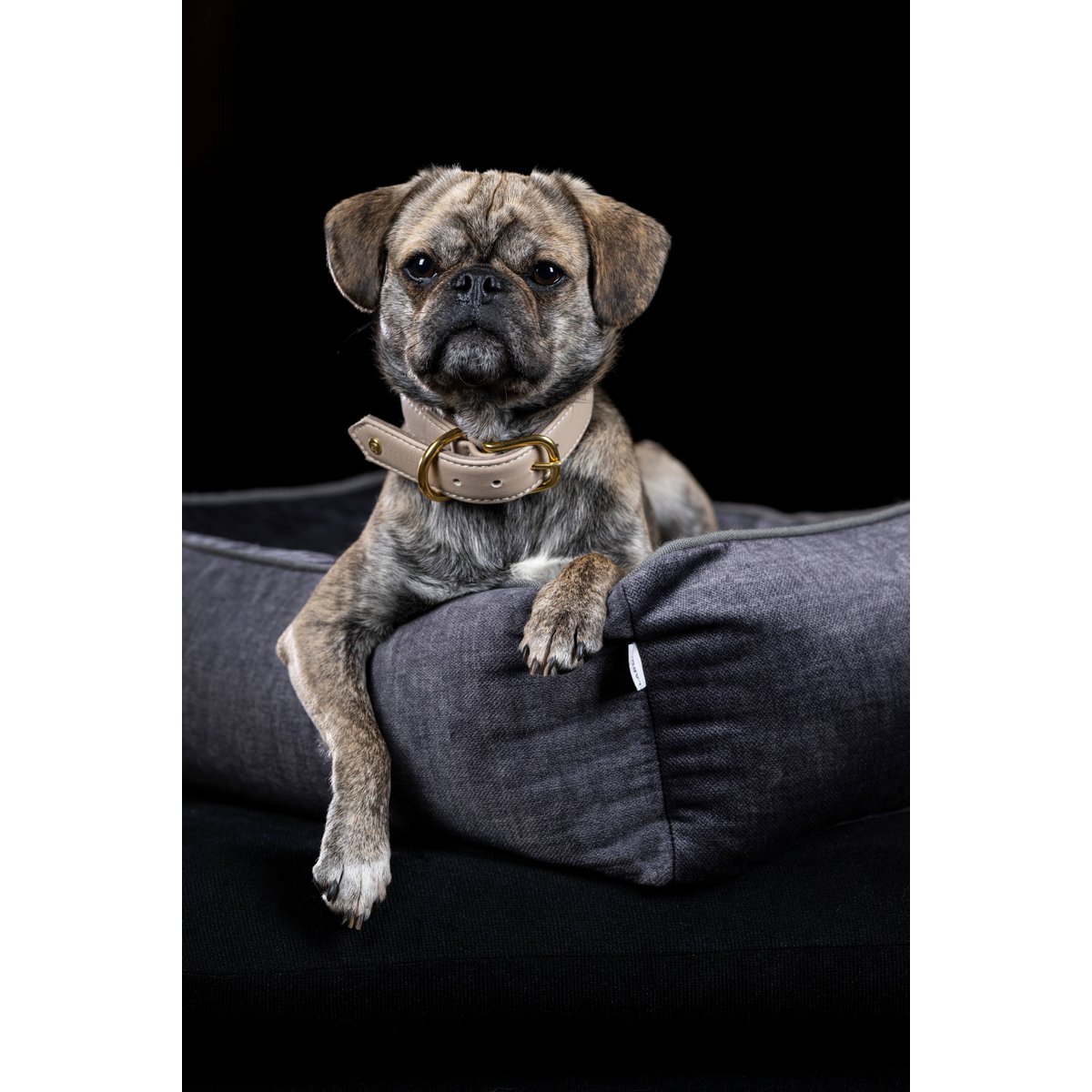 CLASSIC Hundebett - GLAM GRAPHITE