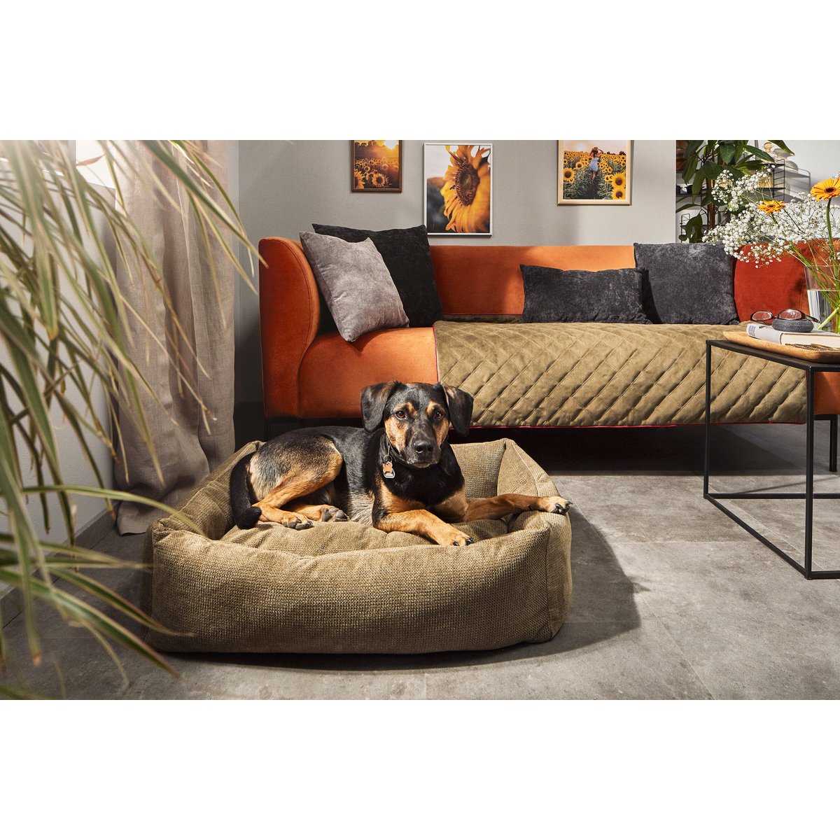 CLASSIC Hundebett - TUDOR OLIVE