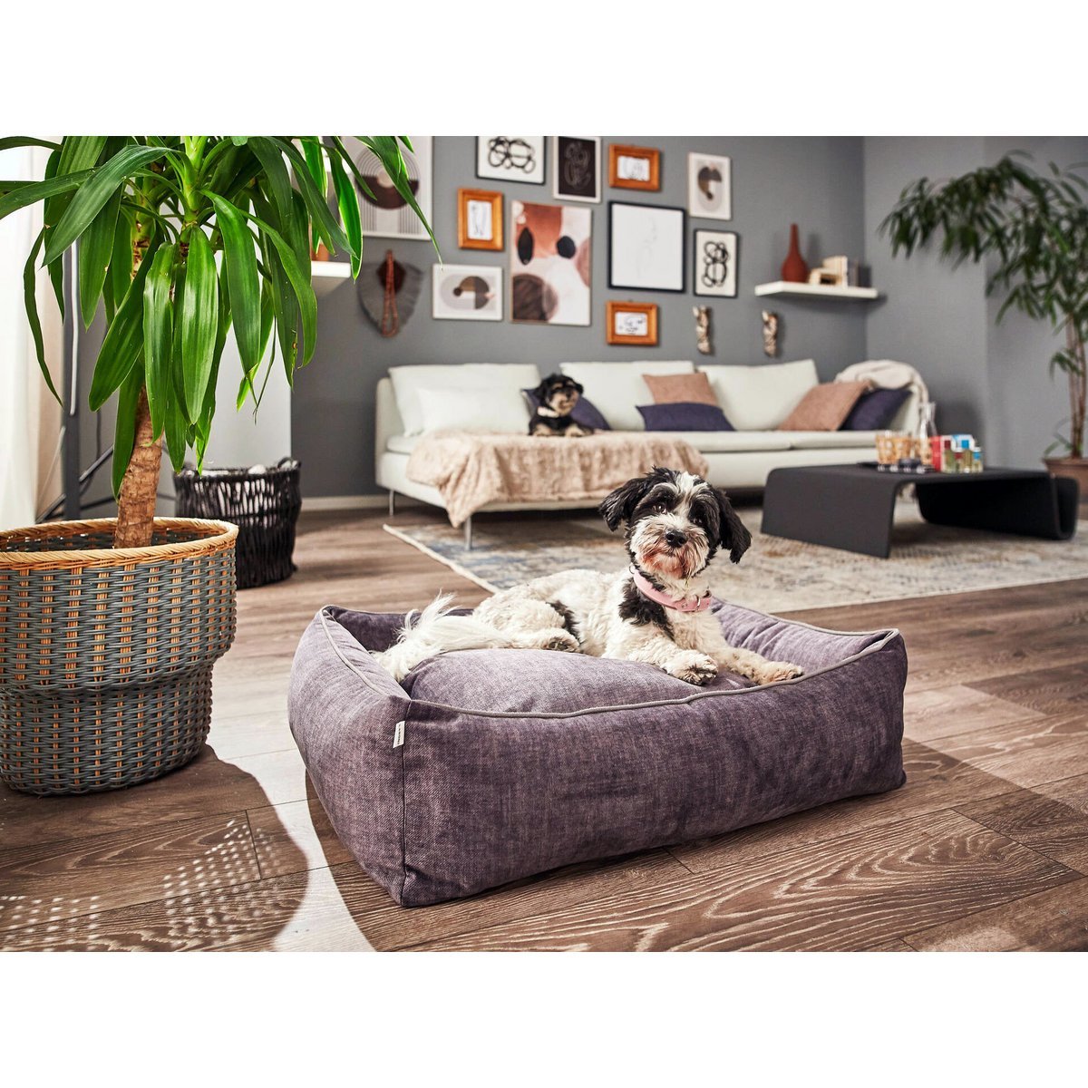 CLASSIC Hundebett - GLAM GRAPHITE