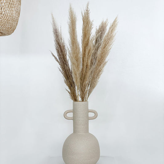 Pampasgras beige natur | für Tischvase