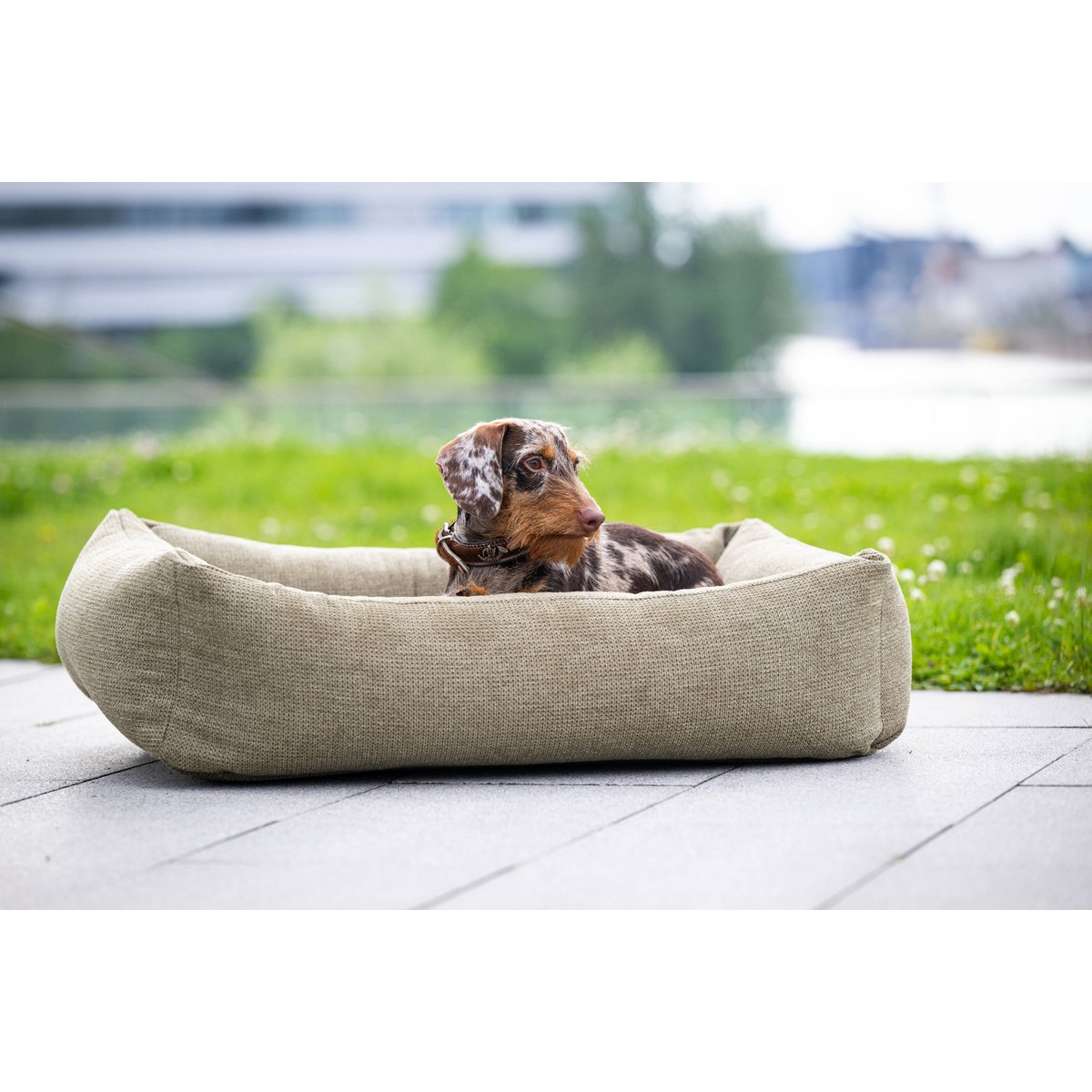 CLASSIC Hundebett - TUDOR OLIVE