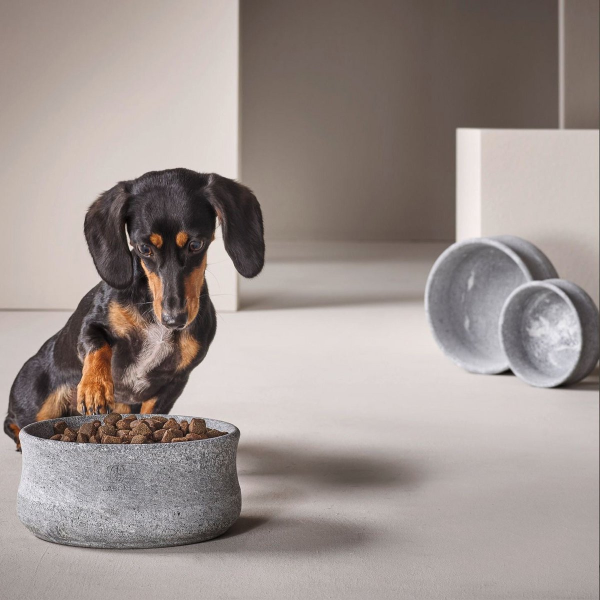ROCKY - Edel-Napf für Hund und Katze
