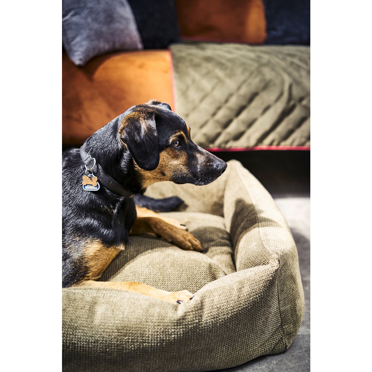 CLASSIC Hundebett - TUDOR OLIVE
