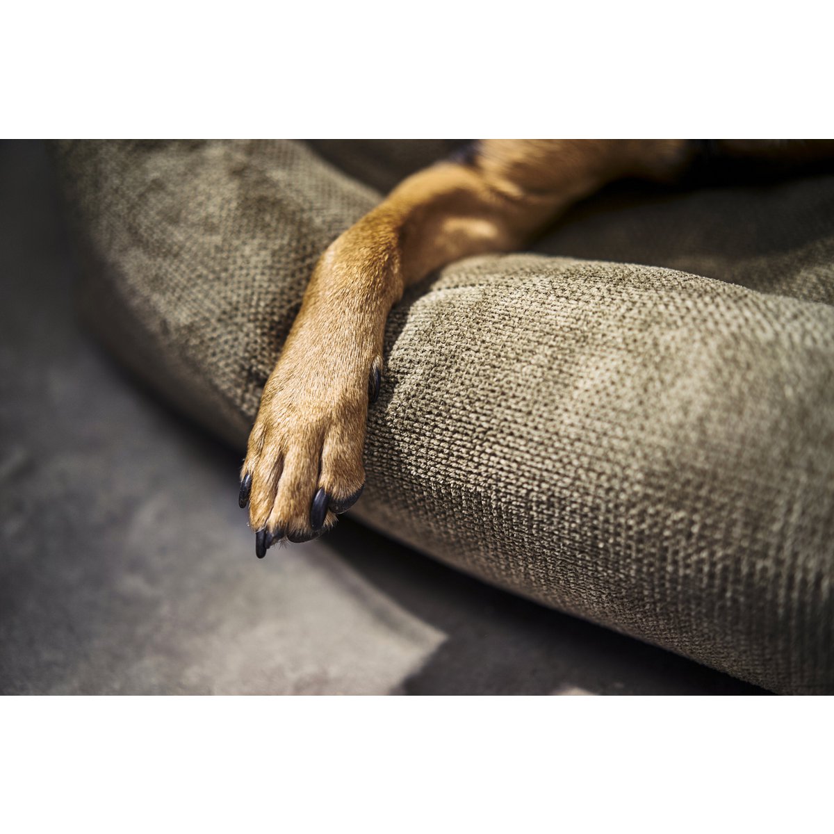 CLASSIC Hundebett - TUDOR OLIVE