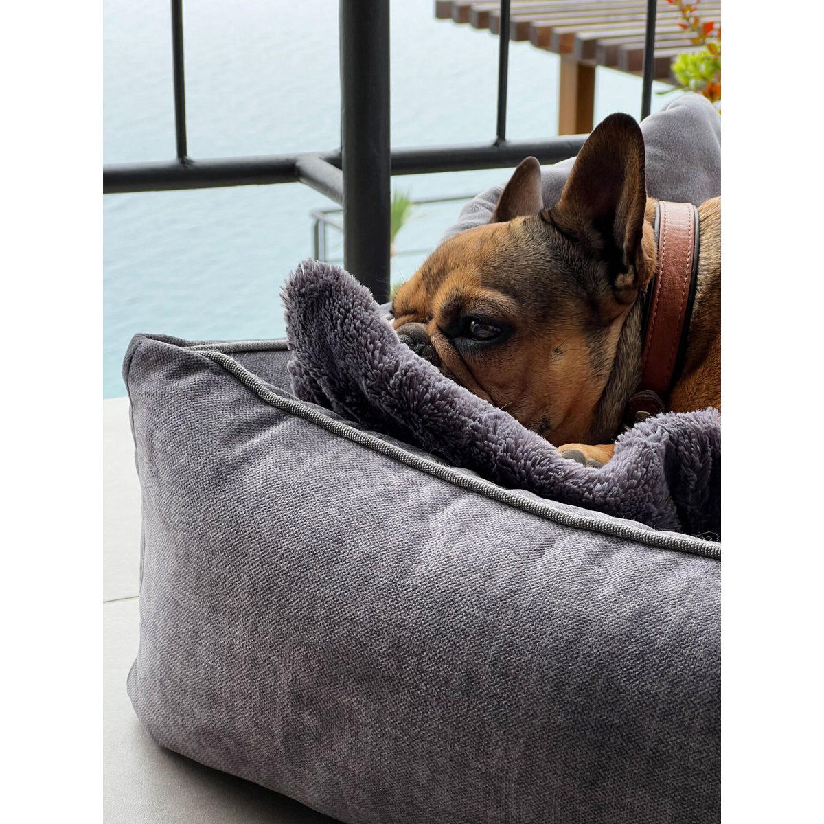 CLASSIC Hundebett - GLAM GRAPHITE